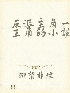 反派主角一直绿主角的小说