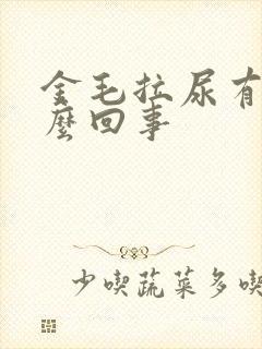 金毛拉尿有血怎么回事