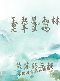 王熙凤和林黛玉是平辈吗