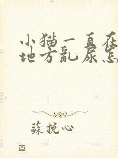 小猫一直在一个地方乱尿怎么办