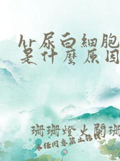 hr尿白细胞高是什么原因