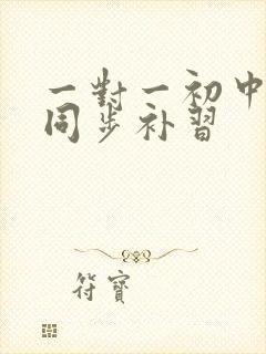 一对一初中物理同步补习