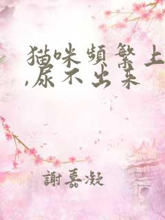 猫咪频繁上厕所,尿不出来