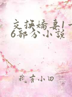 交换娇妻1一36部分小说
