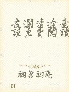 夜澜清冷意欢小说免费阅读