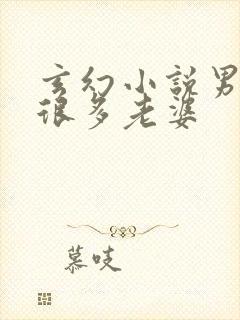 玄幻小说男主有很多老婆