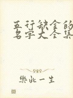 五行缺金的男孩名字大全集