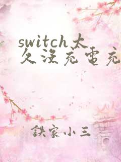 switch太久没充电充不上电