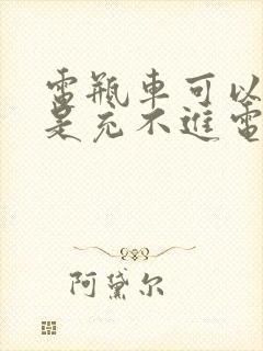 电瓶车可以骑但是充不进电