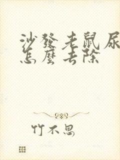 沙发老鼠尿骚味怎么去除