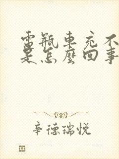 电瓶车充不进电是怎么回事