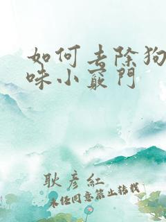 如何去除狗尿骚味小窍门