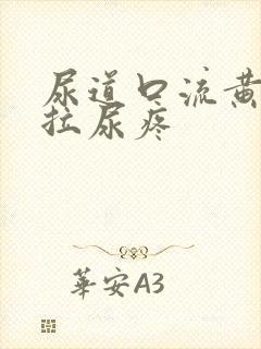 尿道口流黄浓且拉尿疼