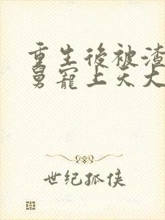 重生后被渣男舅舅宠上天大结局