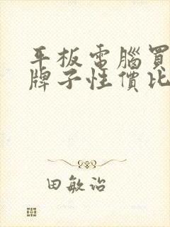 平板电脑买哪个牌子性价比高