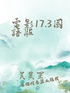 电影17.3国语版