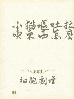 小猫呕吐拉稀不吃东西怎么办