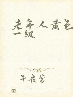 老年人黄色录像一级