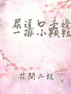 尿道口旁边长了一排小颗粒