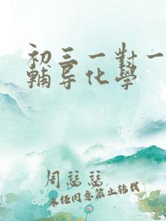 初三一对一在线辅导化学