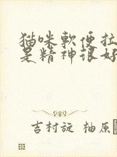 猫咪软便拉血但是精神很好