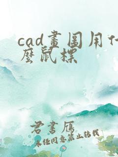 cad画图用什么鼠标