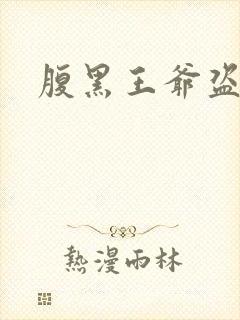 腹黑王爷盗墓妃