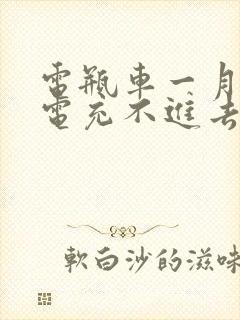 电瓶车一月没骑电充不进去