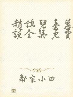 赵锦儿秦慕修小说全集免费阅读