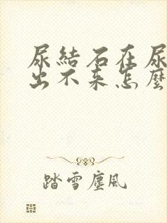 尿结石在尿道里出不来怎么办