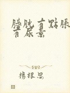 膀胱有点胀一直有尿意