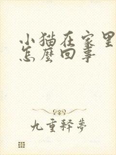 小猫在家里乱尿怎么回事