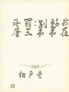 斗罗:别动我的唐三弟弟在线阅读