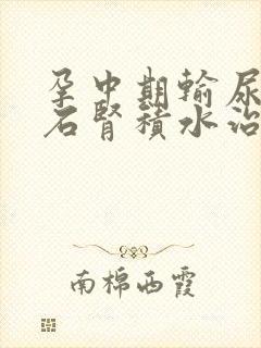 孕中期输尿管结石肾积水治疗