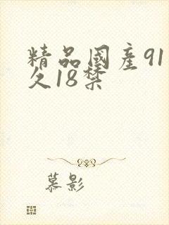 精品国产91久久18禁