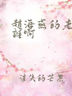 赵海燕的老公是谁啊