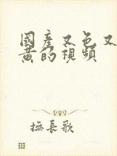 国产又色又爽又黄的视频