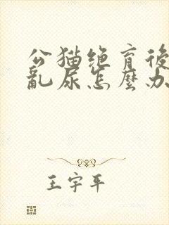 公猫绝育后还是乱尿怎么办