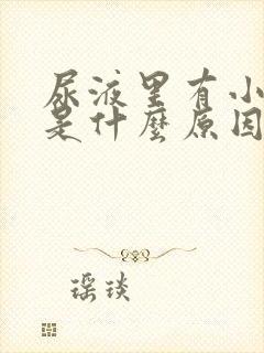 尿液里有小血块是什么原因