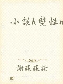 小说h双性np