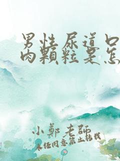 男性尿道口长小肉颗粒是怎么回事