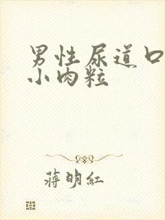 男性尿道口处有小肉粒