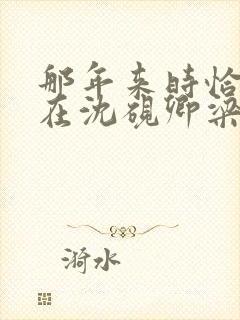 那年来时恰逢你在沈砚卿梁明昭在线阅读