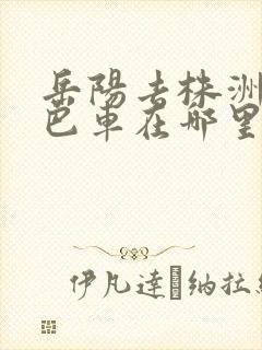 岳阳去株洲的大巴车在哪里坐