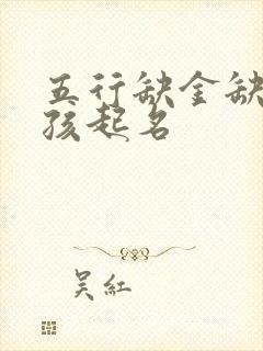 五行缺金缺金男孩起名