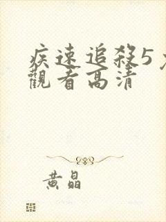 疾速追杀5免费观看高清