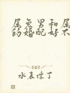 属兔男和属蛇女的婚配好不好