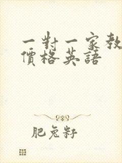 一对一家教上门价格英语