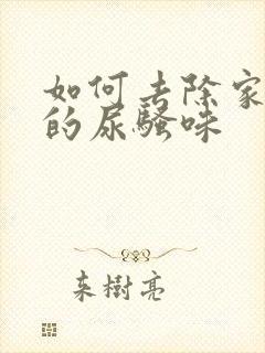 如何去除家里狗的尿骚味