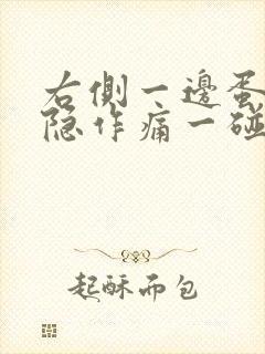 右侧一边蛋蛋隐隐作痛一碰就疼